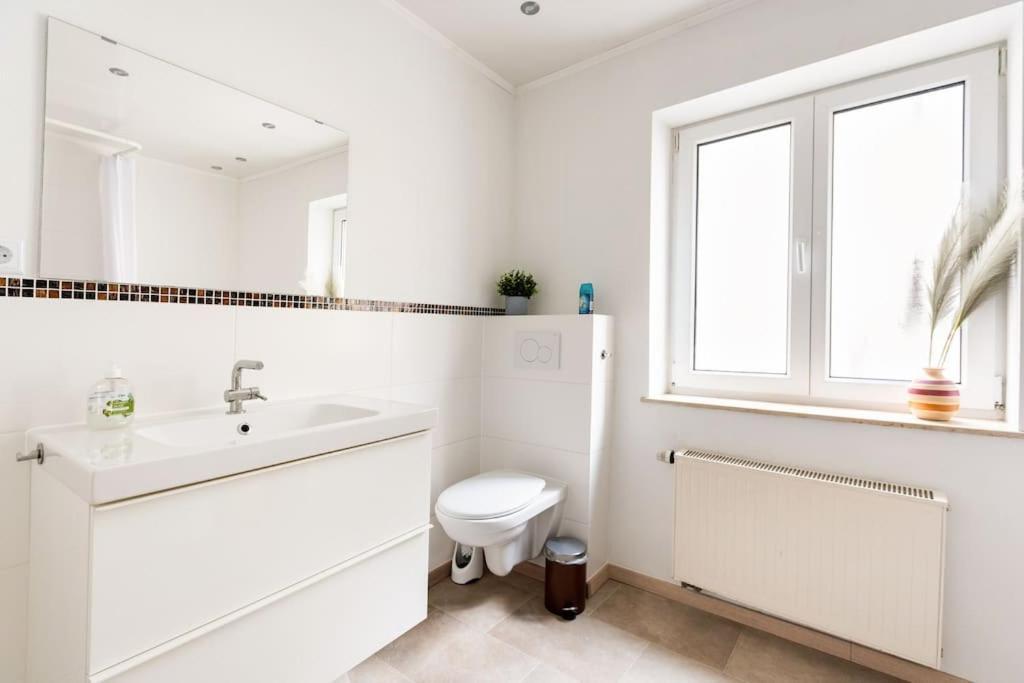 E"Stein 3 Zkb Terrasse Apartman Koblenz  Kültér fotó